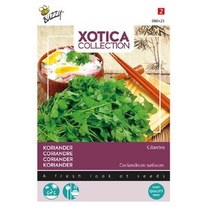 Buzzy Organic Koriander - Xotica - Exotische Groenten