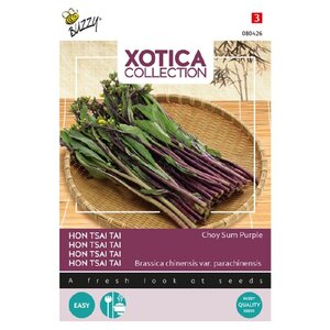 Buzzy Organic Purple Choy Sum Hon Tsai Tai - Xotica