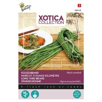 Katjang Pandjang of Kousenband - Xotica