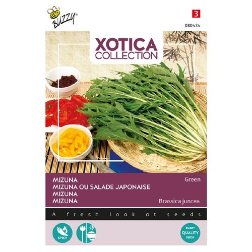 Buzzy Organic Mizuna of Xiu Cai - Xotica