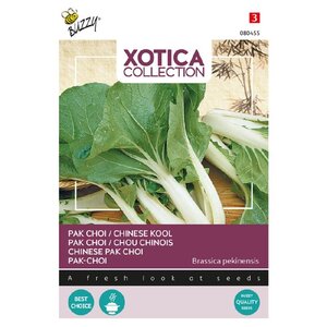 Buzzy Organic Paksoi Kanton - Xotica - Exotische Groenten Buzzy Organic Paksoi Kanton - Xotica - Exotische Groenten