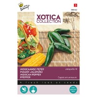 Peper Jalapeno - Xotica