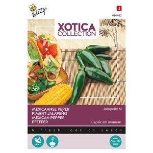 Buzzy Organic Peper Jalapeno - Xotica
