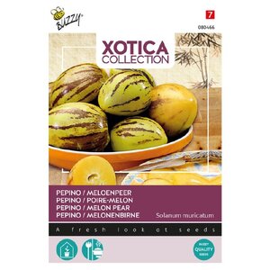 Buzzy Organic Pepino of Meloenpeer - Xotica - Exotische Groenten