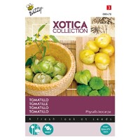 Tomatillo of Mexicaanse Aardkers - Xotica
