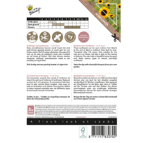 Buzzy Organic Sunlit Days Bouquet - Colourful Bouquets - Bloemen Boeketten