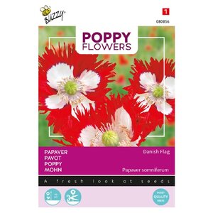 Buzzy Organic Papaver Deense Vlag - Poppy Flowers - Papavers Buzzy Organic Papaver Deense Vlag - Poppy Flowers - Papavers