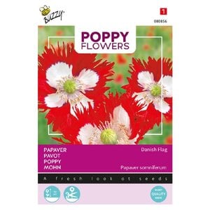 Buzzy Organic Papaver Deense Vlag - Poppy Flowers