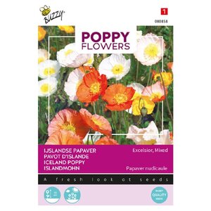 Buzzy Organic Ijslandse Papaver - Poppy Flowers - Papavers
