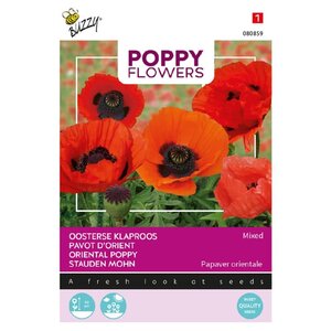 Buzzy Organic Orientaalse Papaver - Poppy Flowers - Papavers Buzzy Organic Orientaalse Papaver - Poppy Flowers - Papavers