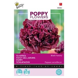 Buzzy Organic Papaver Black Peaony - Poppy Flowers