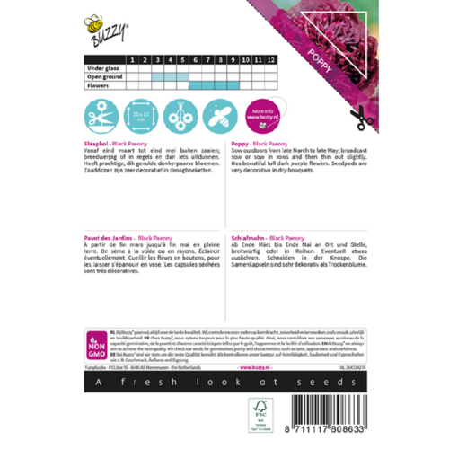 Buzzy Organic Papaver Black Peaony - Poppy Flowers - Papavers