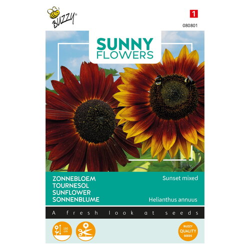 Buzzy Organic Evening Sun - Sunny Flowers