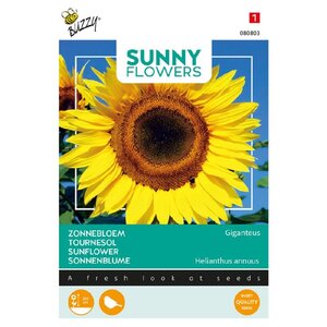 Buzzy Organic Giant - Sunny Flowers - Zonnebloemen