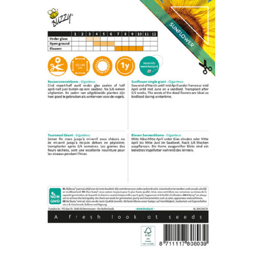 Buzzy Organic Giant - Sunny Flowers - Zonnebloemen