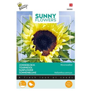 Buzzy Organic Moonwalker - Sunny Flowers - Zonnebloemen