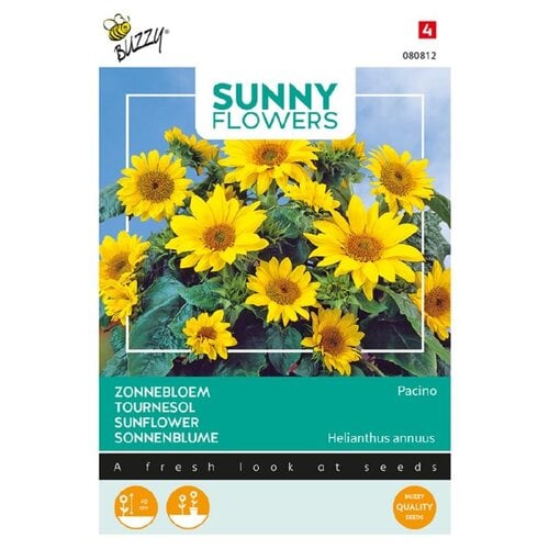 Buzzy Organic Pacino Gold - Sunny Flowers