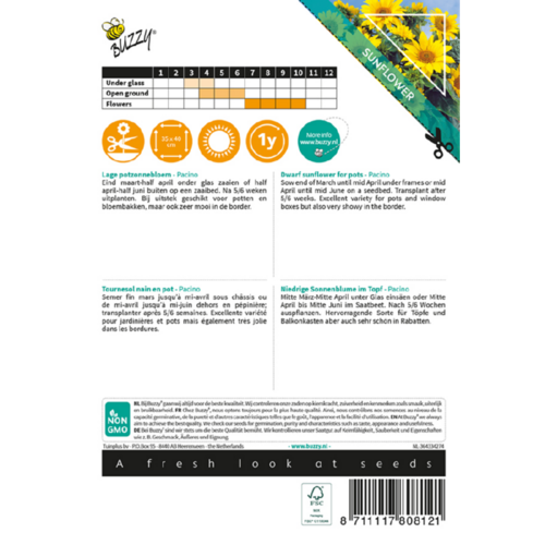 Buzzy Organic Pacino Gold - Sunny Flowers - Zonnebloemen