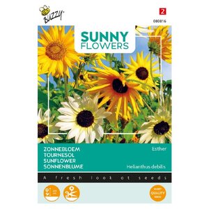 Buzzy Organic Esther - Sunny Flowers - Zonnebloemen