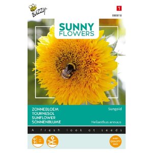 Buzzy Organic Sungold - Sunny Flowers - Zonnebloemen