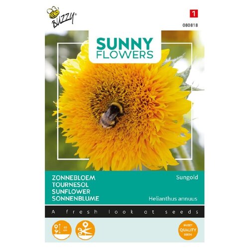 Buzzy Organic Sungold - Sunny Flowers
