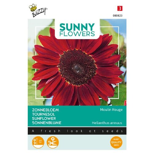 Buzzy Organic Moulin Rouge - Sunny Flowers