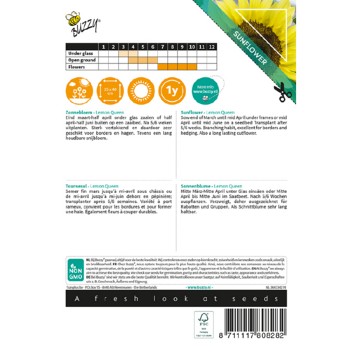 Buzzy Organic Lemon Queen - Sunny Flowers - Zonnebloemen