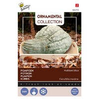 Large Hubbard Blue - Ornamental