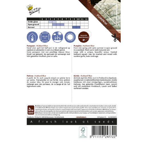 Buzzy Organic Large Hubbard Blue - Ornamental - Pompoenen & Kalebassen