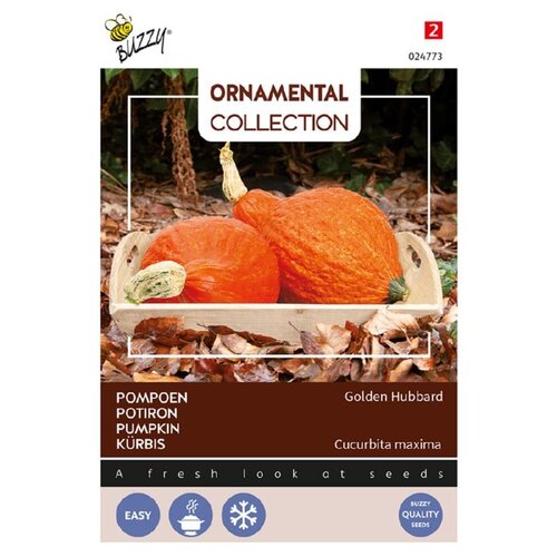 Buzzy Organic Golden Hubbard - Ornamental