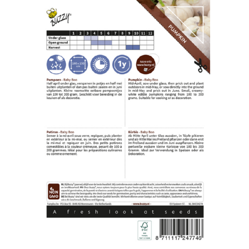 Buzzy Organic Baby Boo - Ornamental - Pompoenen & Kalebassen