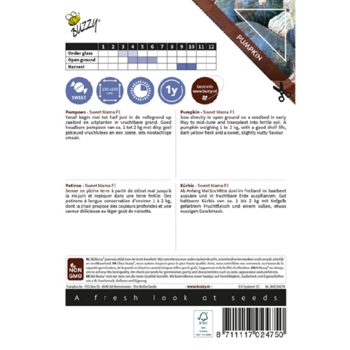 Buzzy Organic Sweet Mama F1 - Ornamental - Pompoenen & Kalebassen