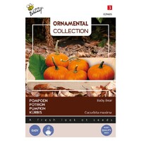 Baby Bear - Ornamental