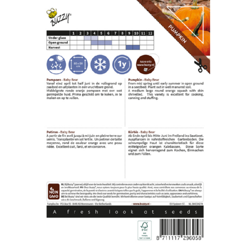 Buzzy Organic Baby Bear - Ornamental - Pompoenen & Kalebassen