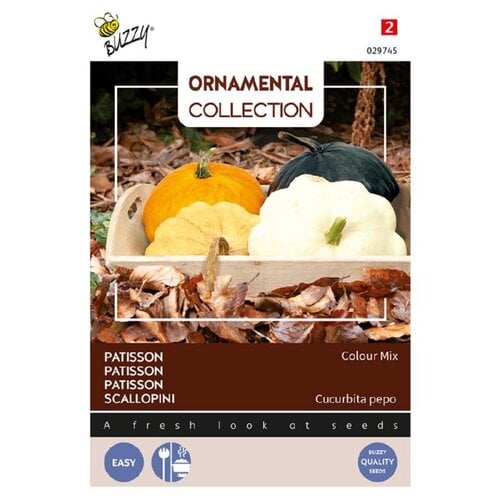 Buzzy Organic Patisson Colormix - Ornamental