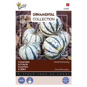 Buzzy Organic Sweet Dumpling - Ornamental