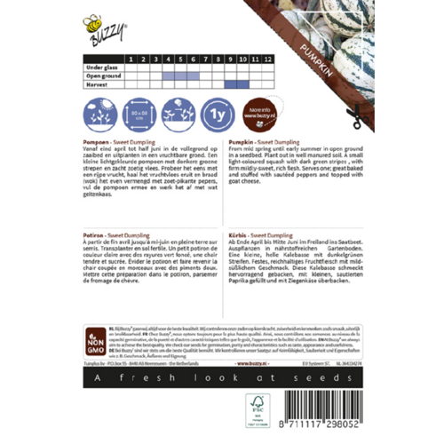 Buzzy Organic Sweet Dumpling - Ornamental - Pompoenen & Kalebassen