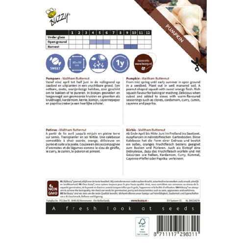 Buzzy Organic Waltham Butternut Flespompoen - Ornamental - Pompoenen & Kalebassen