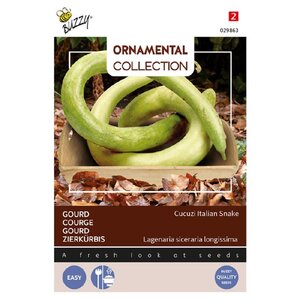 Buzzy Organic Cucuzi / Italian Snake - Ornamental - Pompoenen & Kalebassen