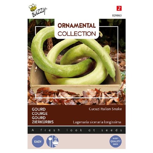 Buzzy Organic Cucuzi / Italian Snake - Ornamental