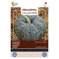 Marina di Chioggia - Ornamental