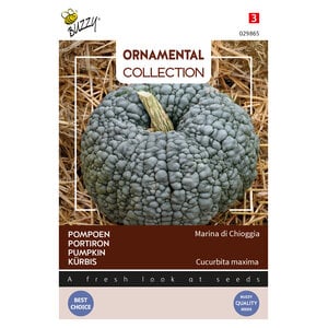 Buzzy Organic Marina di Chioggia - Ornamental