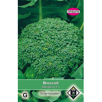 Broccoli