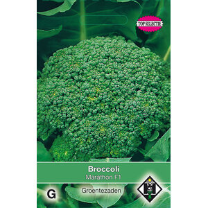 Van Hemert & Co Zaden Broccoli Van Hemert & Co Zaden Broccoli