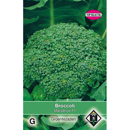 Van Hemert & Co Zaden Broccoli Van Hemert & Co Zaden Broccoli