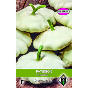 Van Hemert & Co Zaden Patisson Van Hemert & Co Zaden Patisson