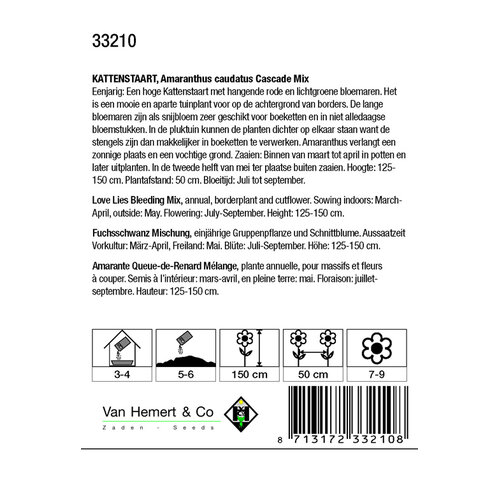 Van Hemert & Co Zaden Kattenstaart - Amaranthus Cascade Mix Van Hemert & Co Zaden Kattenstaart - Amaranthus Cascade Mix
