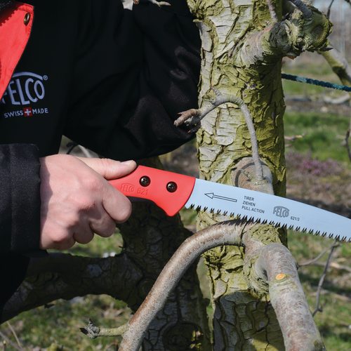 Felco Felco 621 - Snoeizaag met Holster