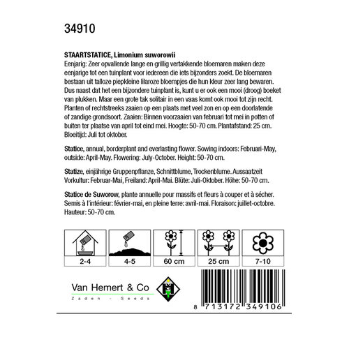 Van Hemert & Co Zaden Staartstatice - Limonium Suworowii Van Hemert & Co Zaden Staartstatice - Limonium Suworowii