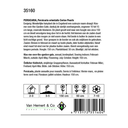Van Hemert & Co Zaden Persicaria - Persicaria Cerise Pearls Van Hemert & Co Zaden Persicaria - Persicaria Cerise Pearls